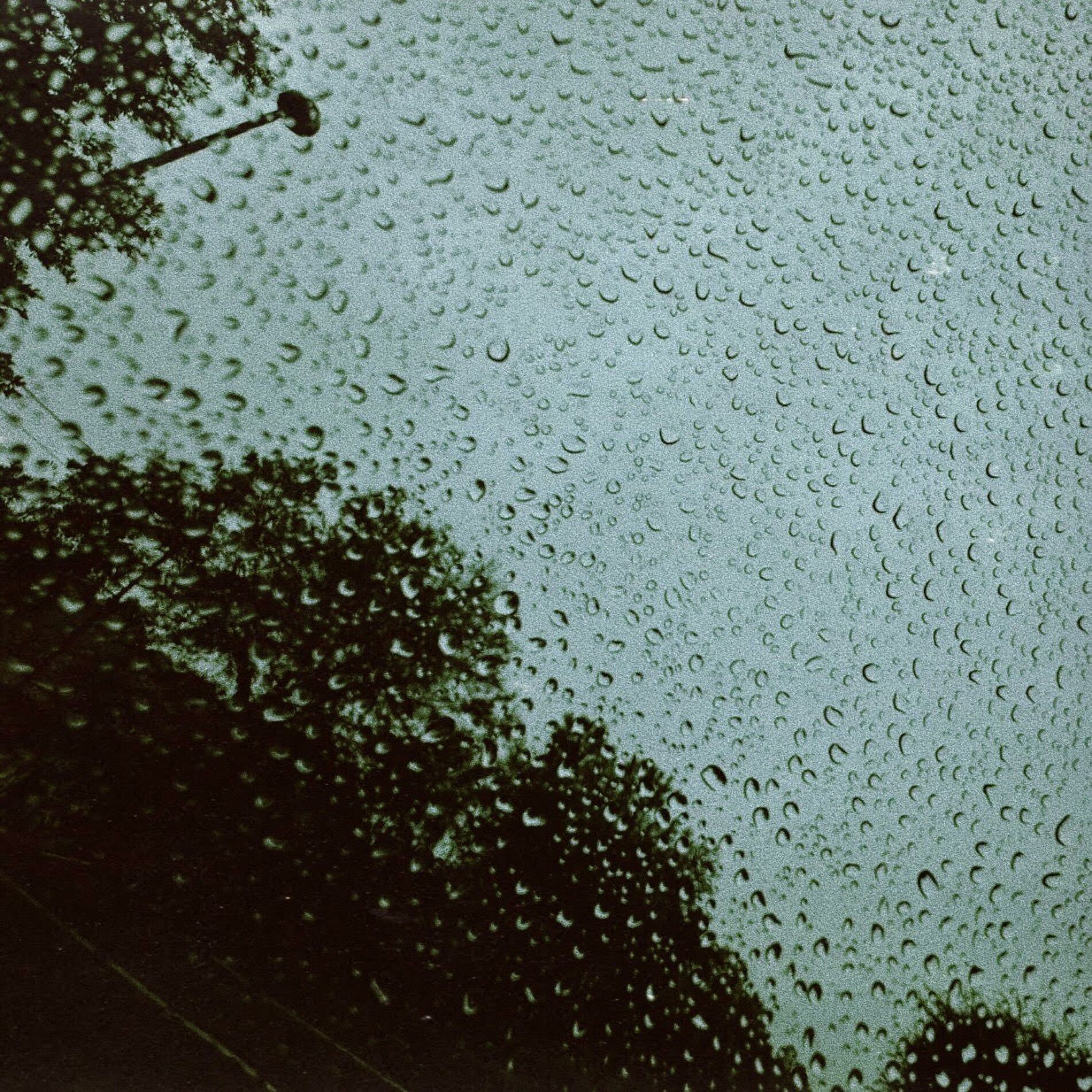 Album cover of please don't go