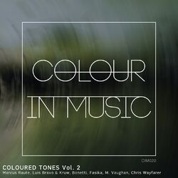 Cover of Coloured Tones, Vol. 2