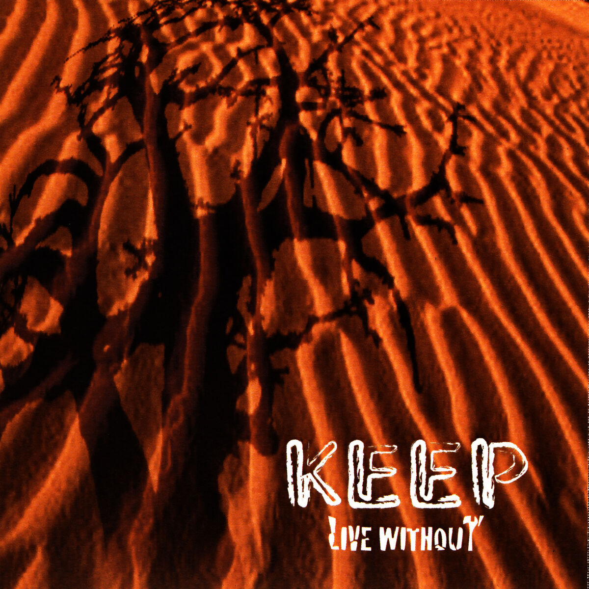 Album cover of Live Without