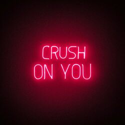 Cover of Crush On You