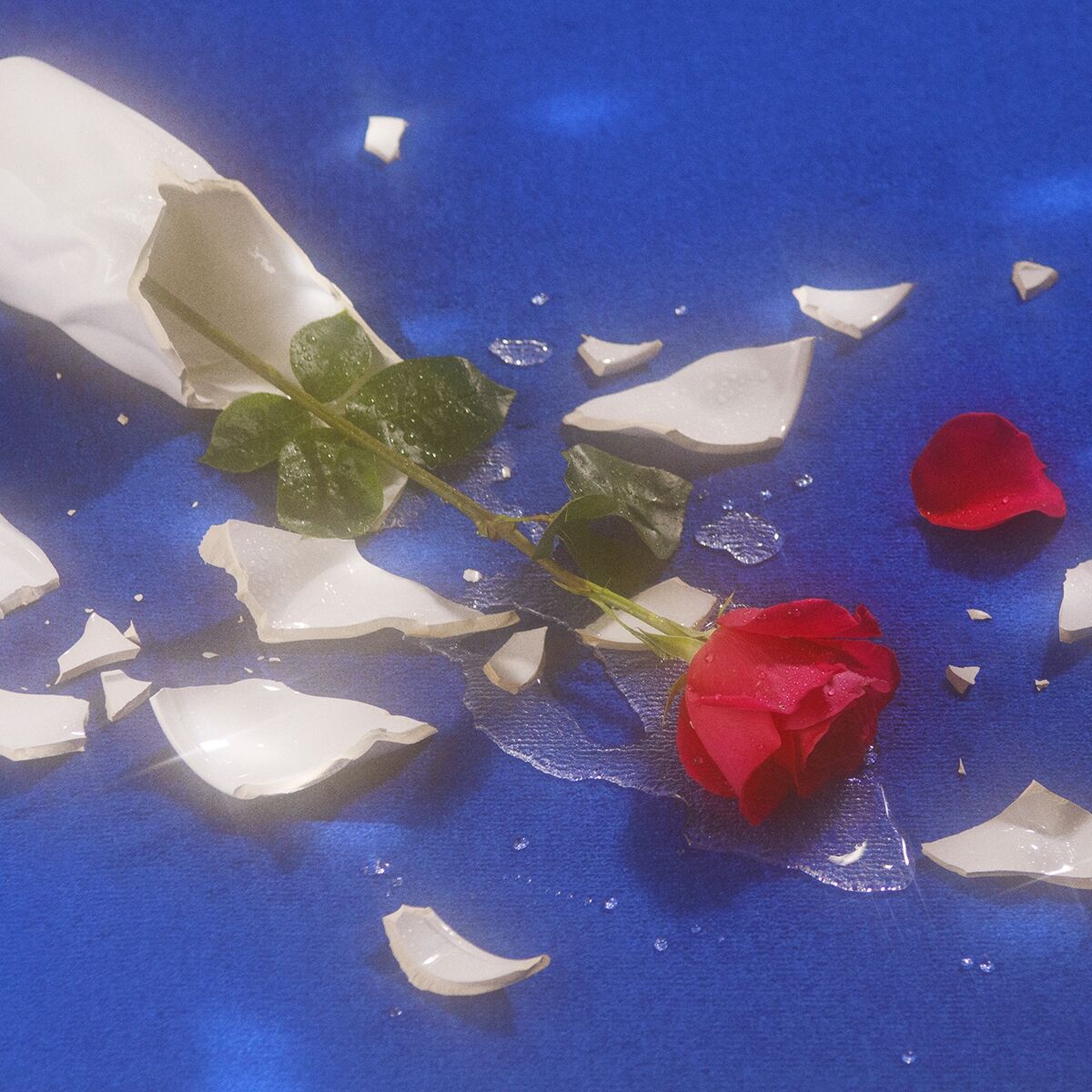 Album cover of Voyou