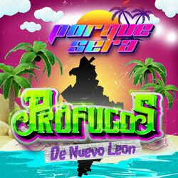 Cover of Por Que Sera