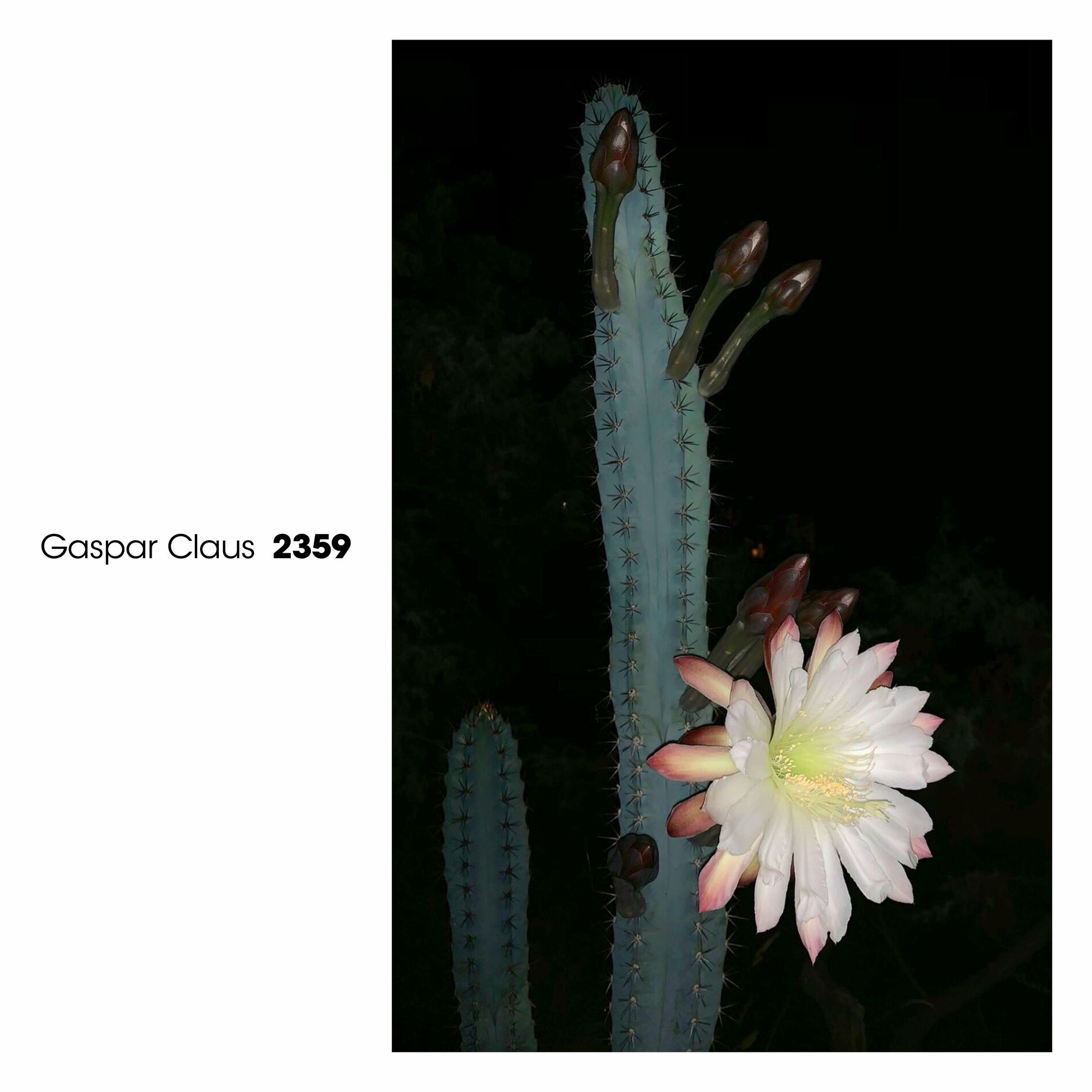 Album cover of 2359