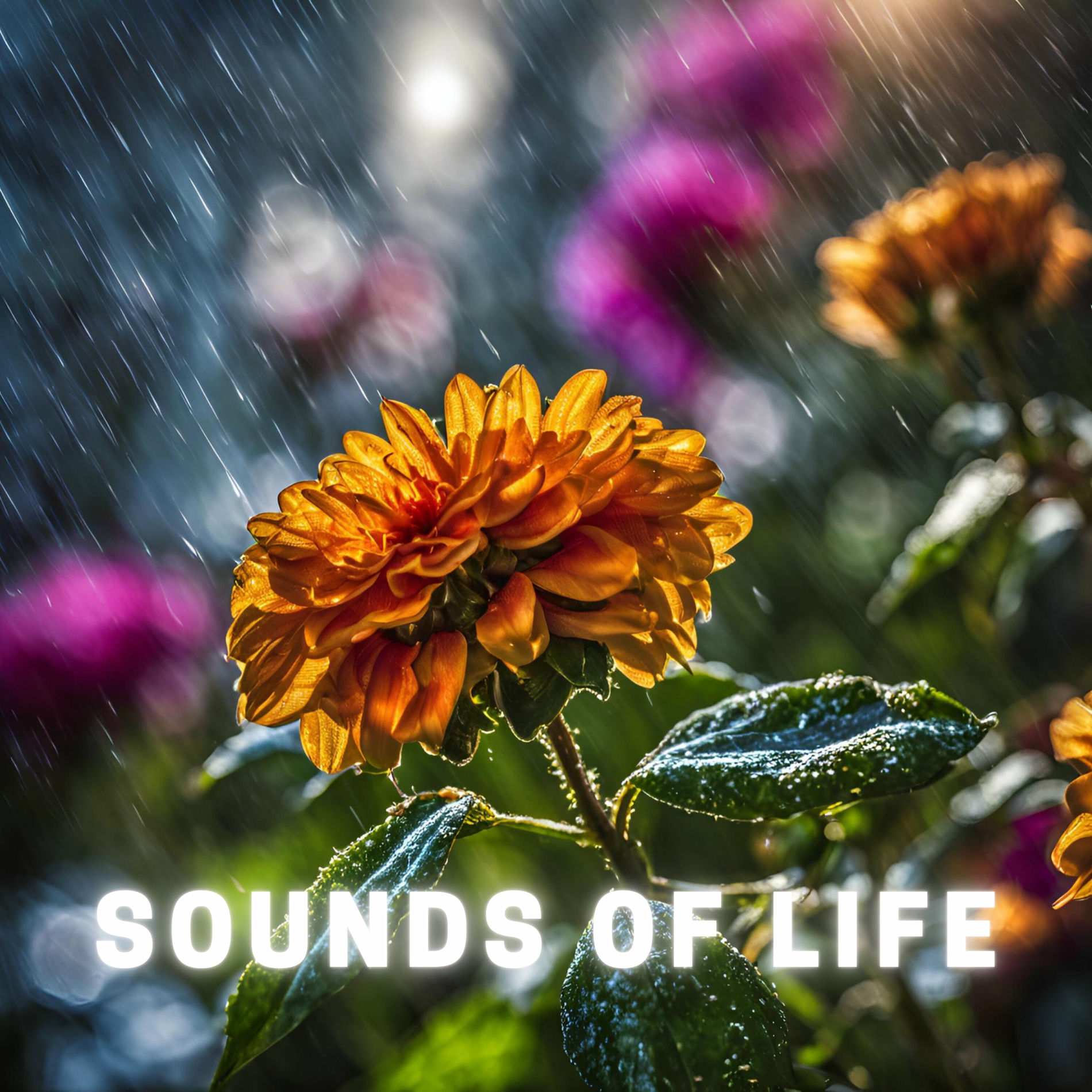 Album cover of Sounds of Life