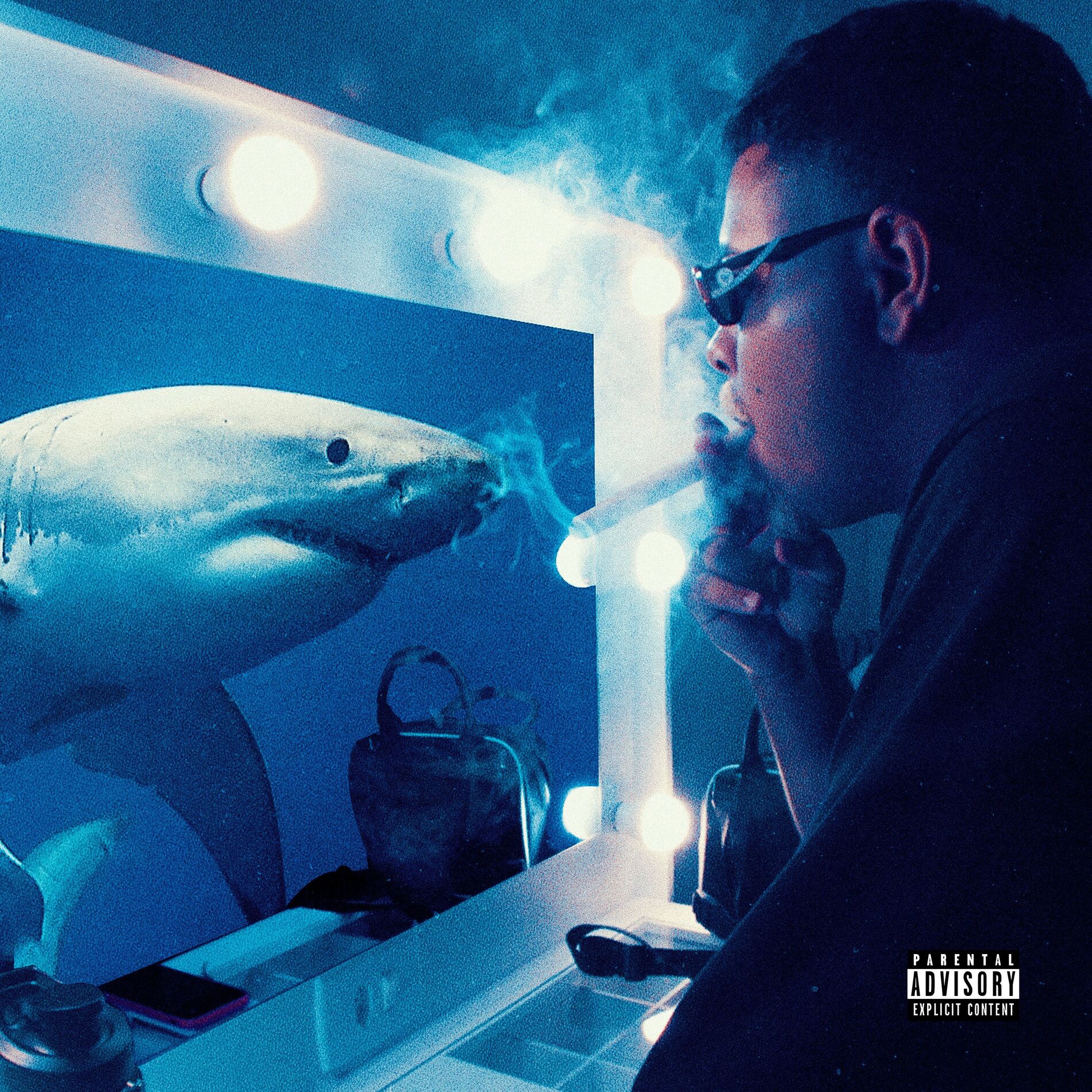 Album cover of Pleya