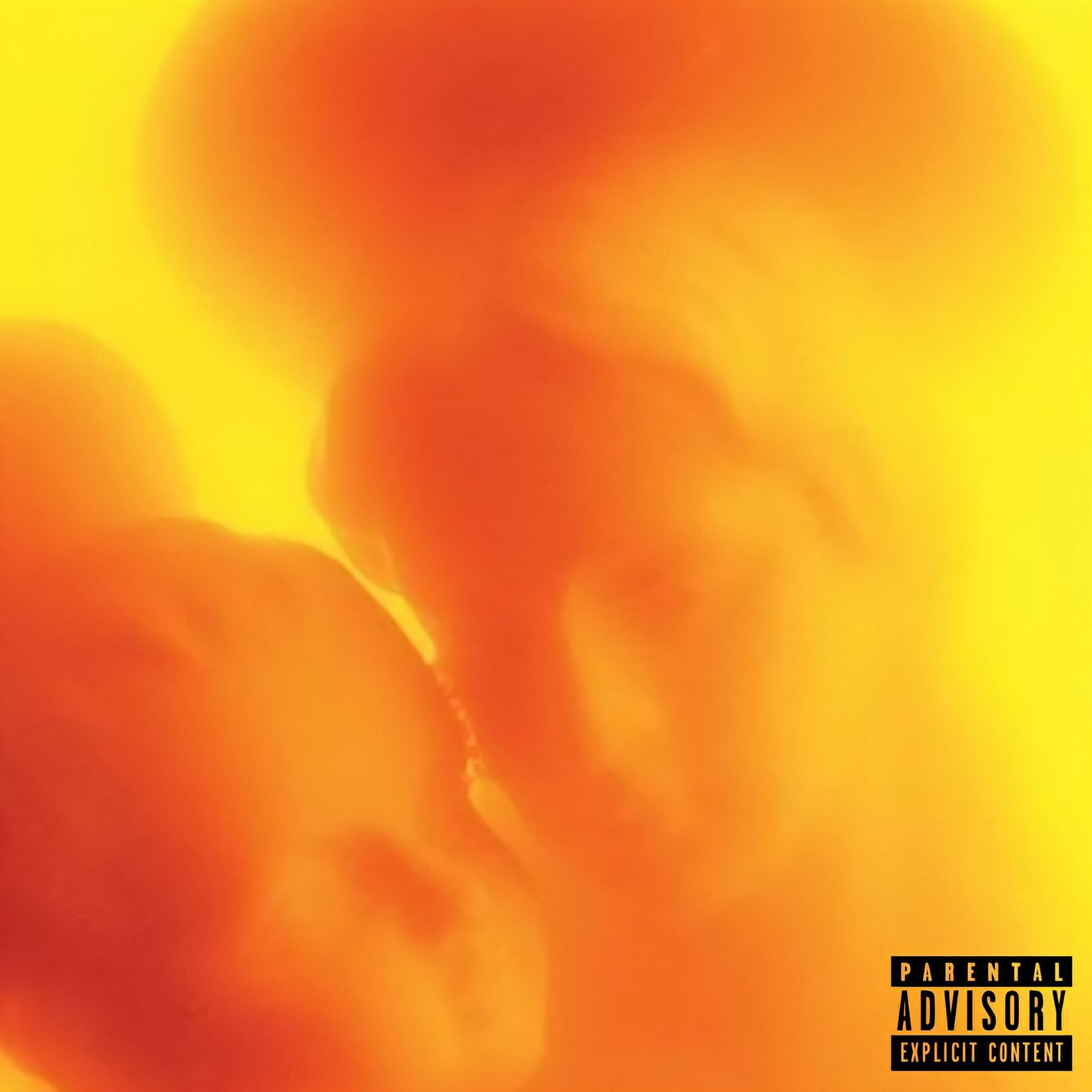 Album cover of SELF DELETED