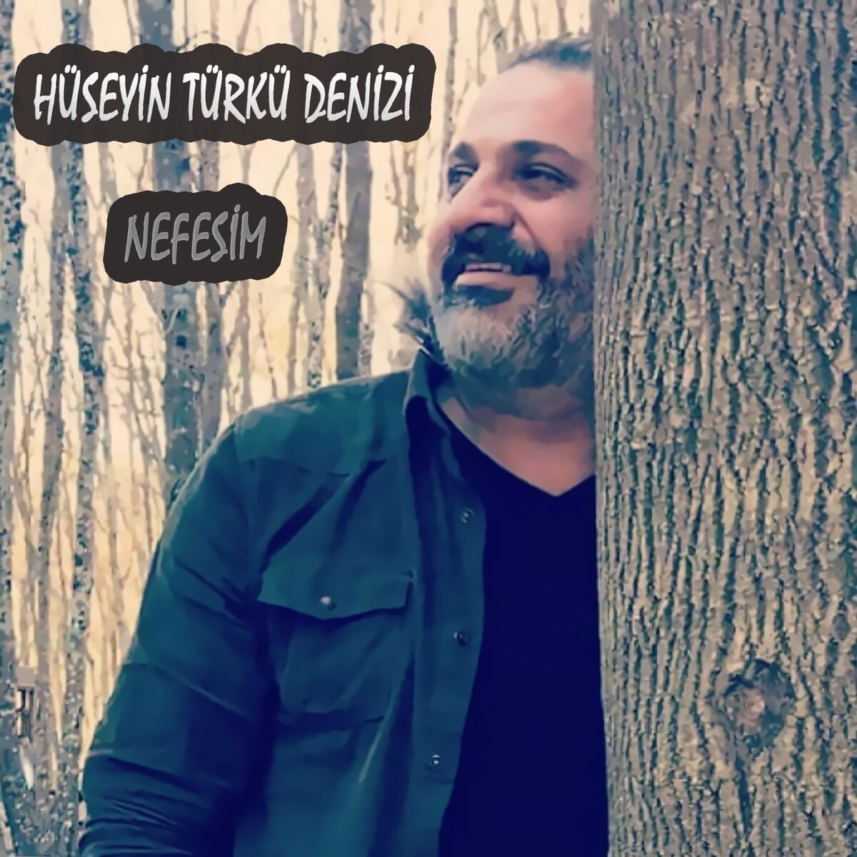 Album cover of Nefesim