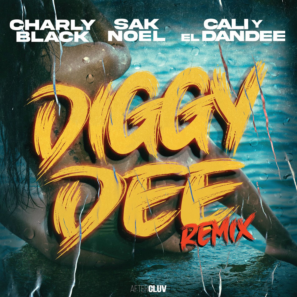 Album cover of Diggy Dee