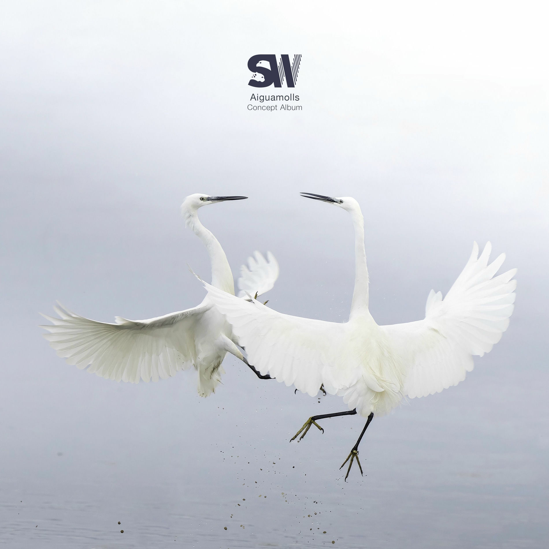 Album cover of Aiguamolls