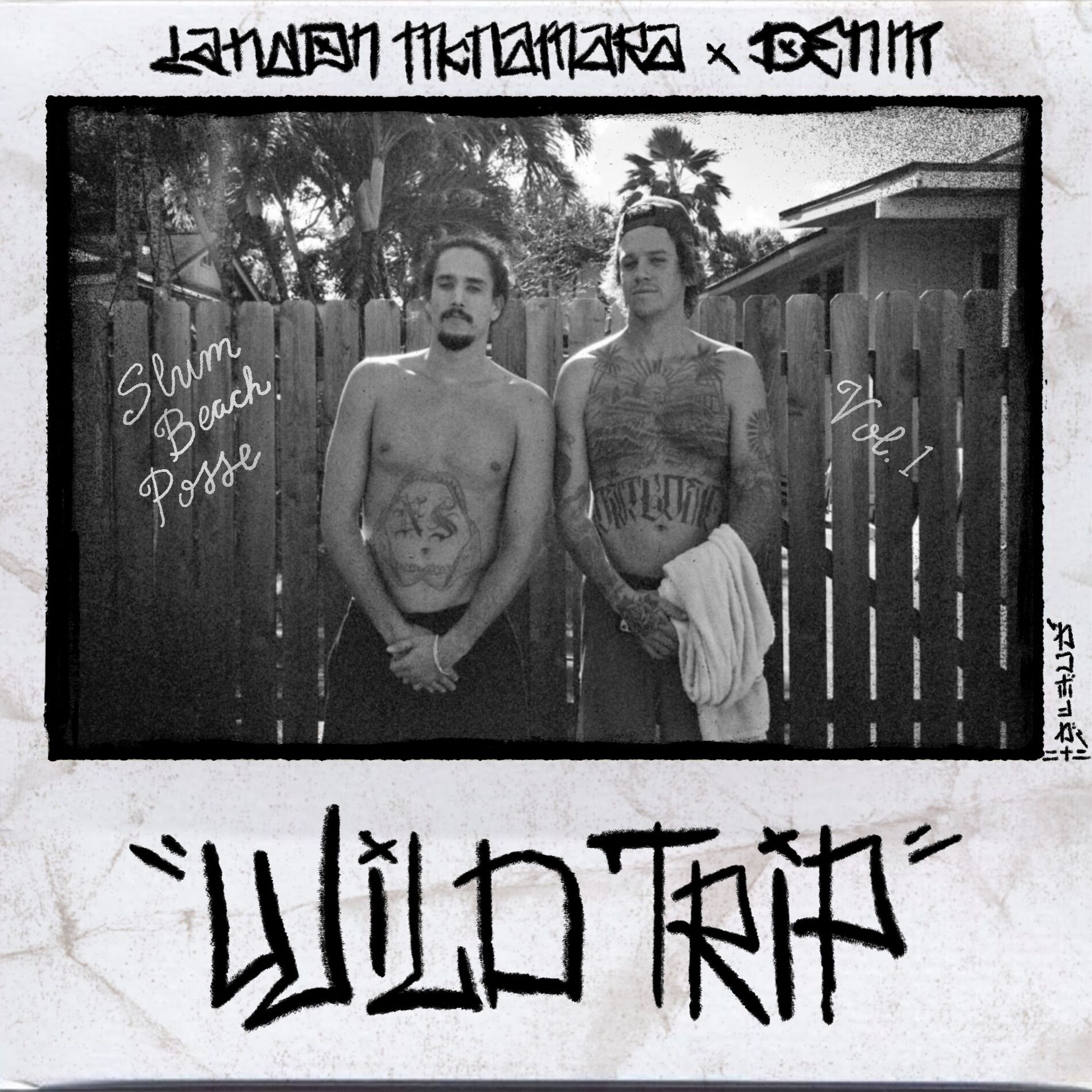 Album cover of Wild Trip