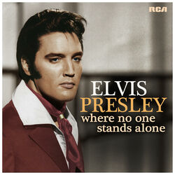 Cover of Where No One Stands Alone