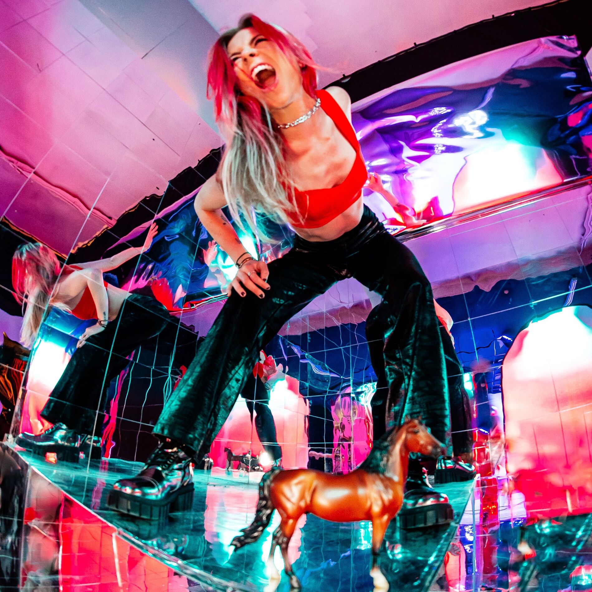 Album cover of High Horse
