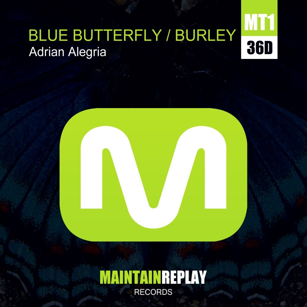 Picture of Blue Butterfly - Burley EP