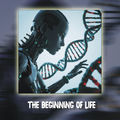 The Beginning of Life