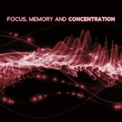 Cover of Relaxing Study Music To Improve Focus, Memory And Concentration | Alpha Waves For Brain Power