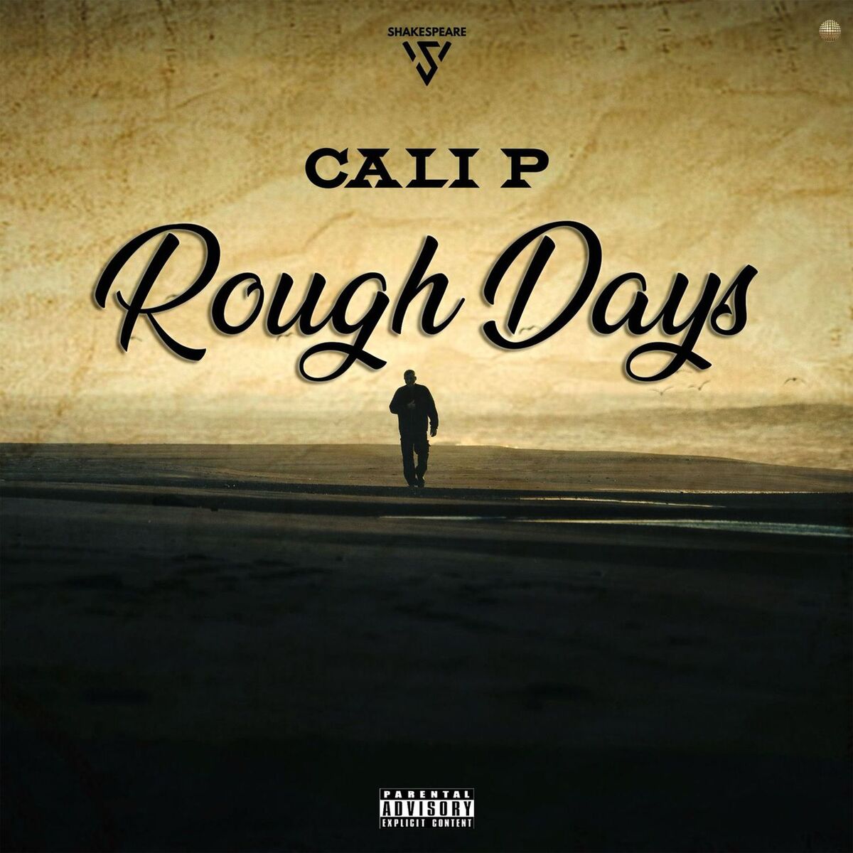 Album cover of Rough Days