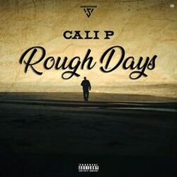 Cover of Rough Days