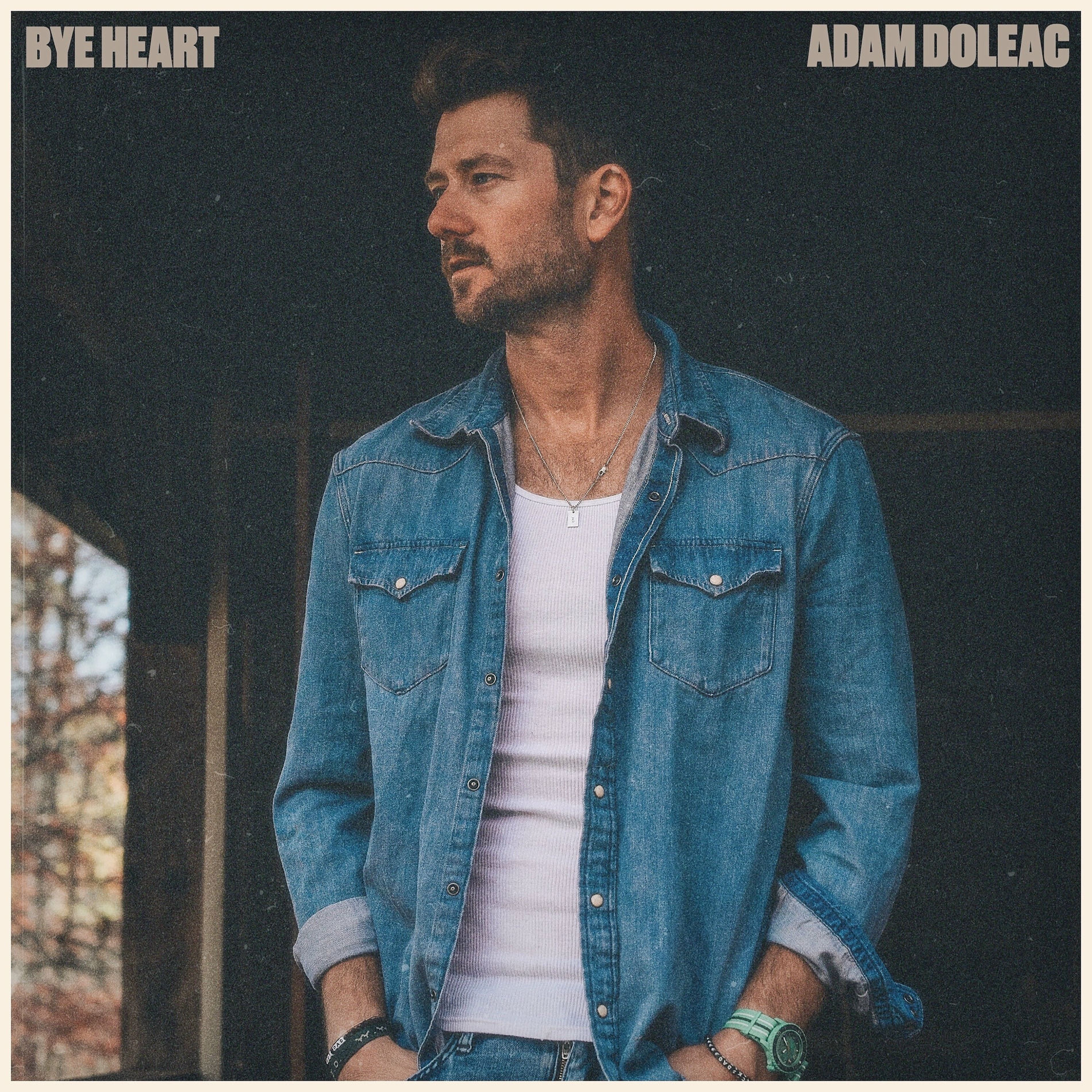 Album cover of Bye Heart