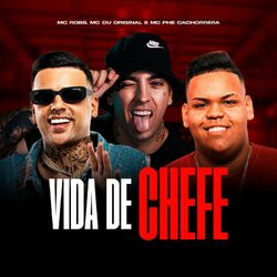 Cover of Vida De Chefe