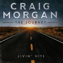 Cover of The Journey (Livin' Hits)