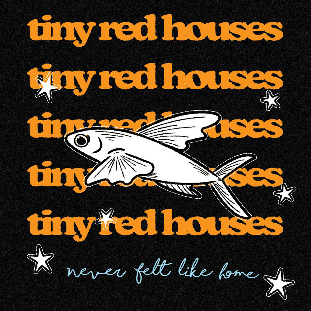 I See Stars