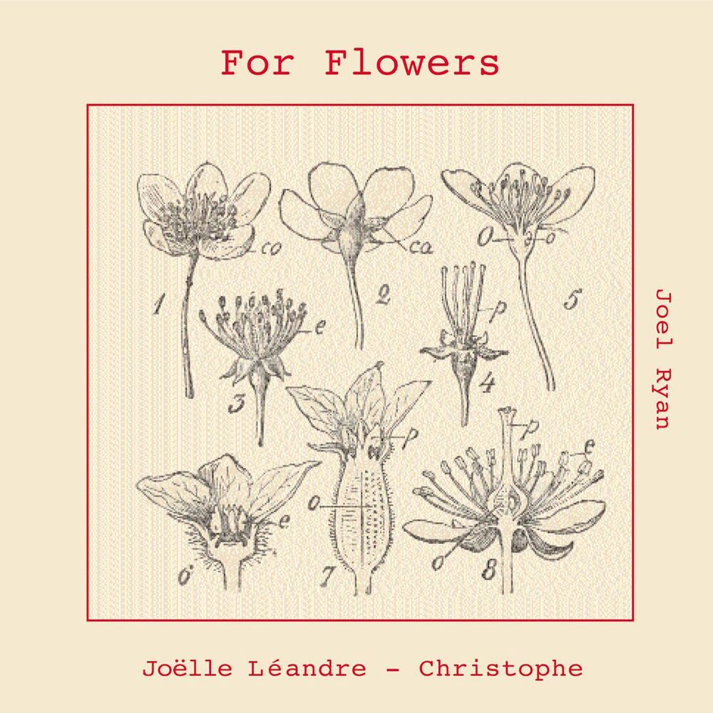 Picture of For Flowers