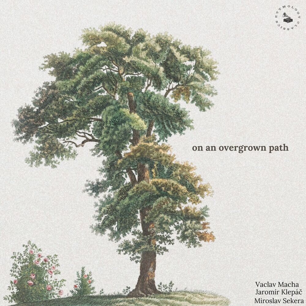 Picture of on an overgrown path