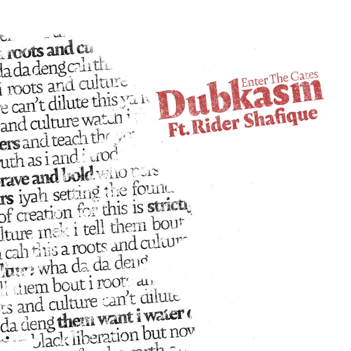 Album cover of Enter the Dub