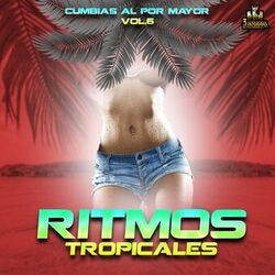 Cover of Cumbias Al Por Mayor Vol. 6