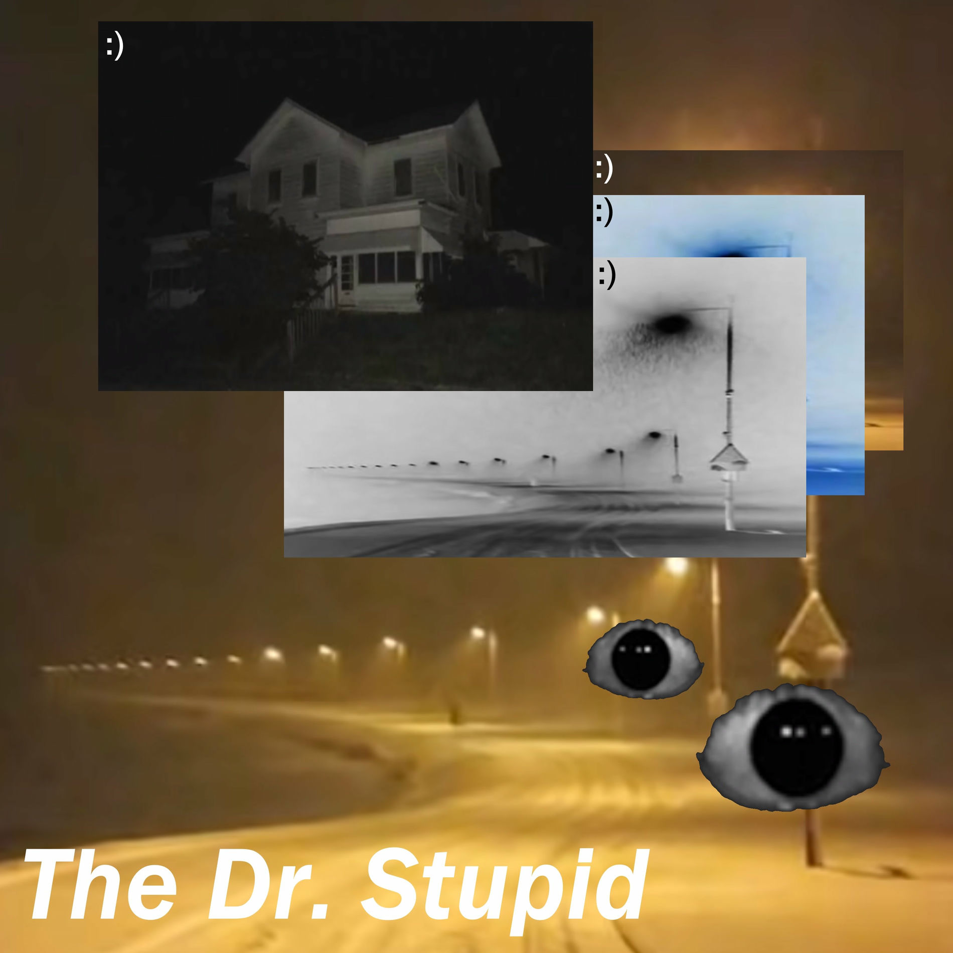 Album cover of The Dr. Stupid