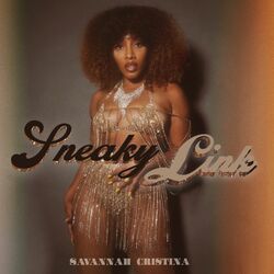 Cover of Sneaky Link