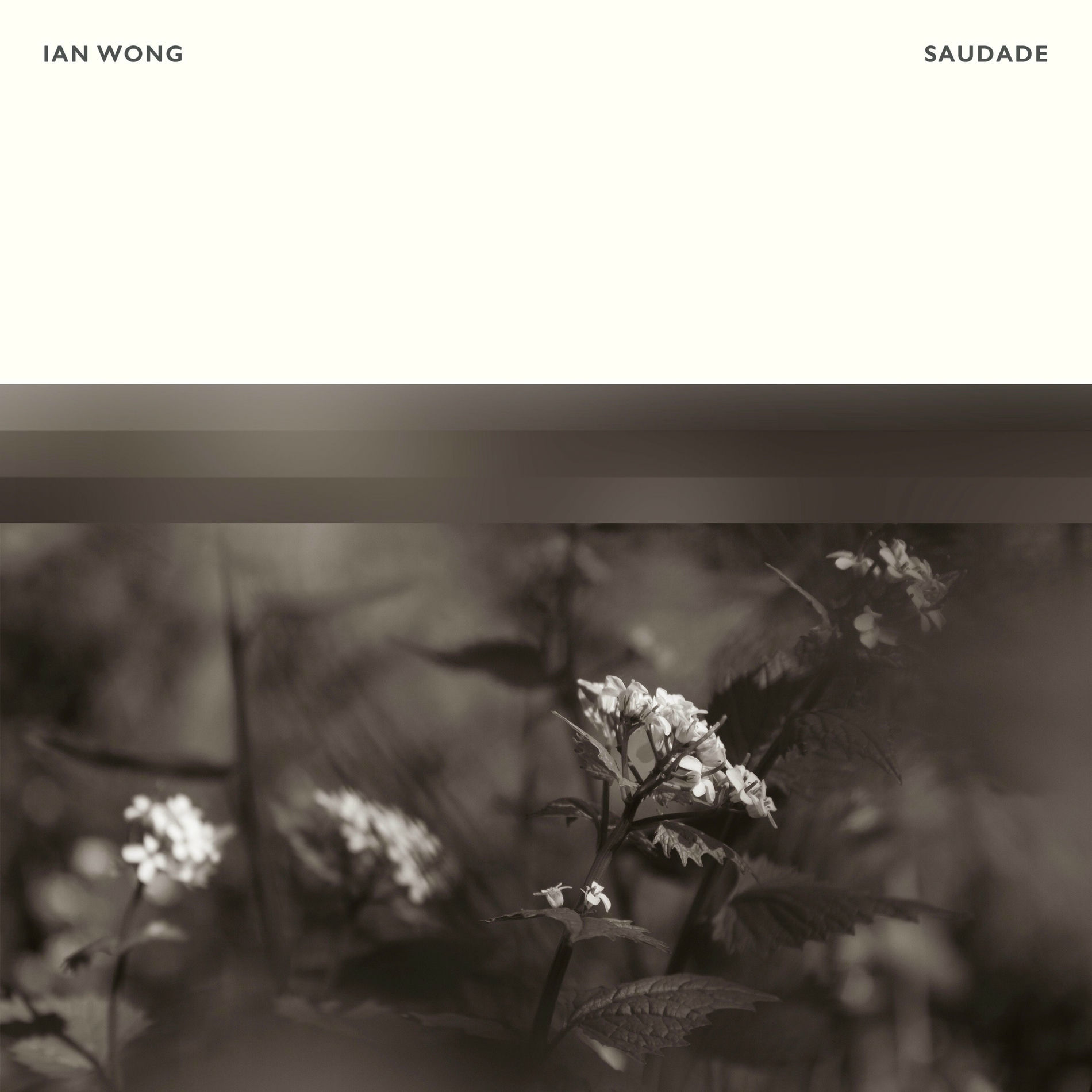 Album cover of Saudade