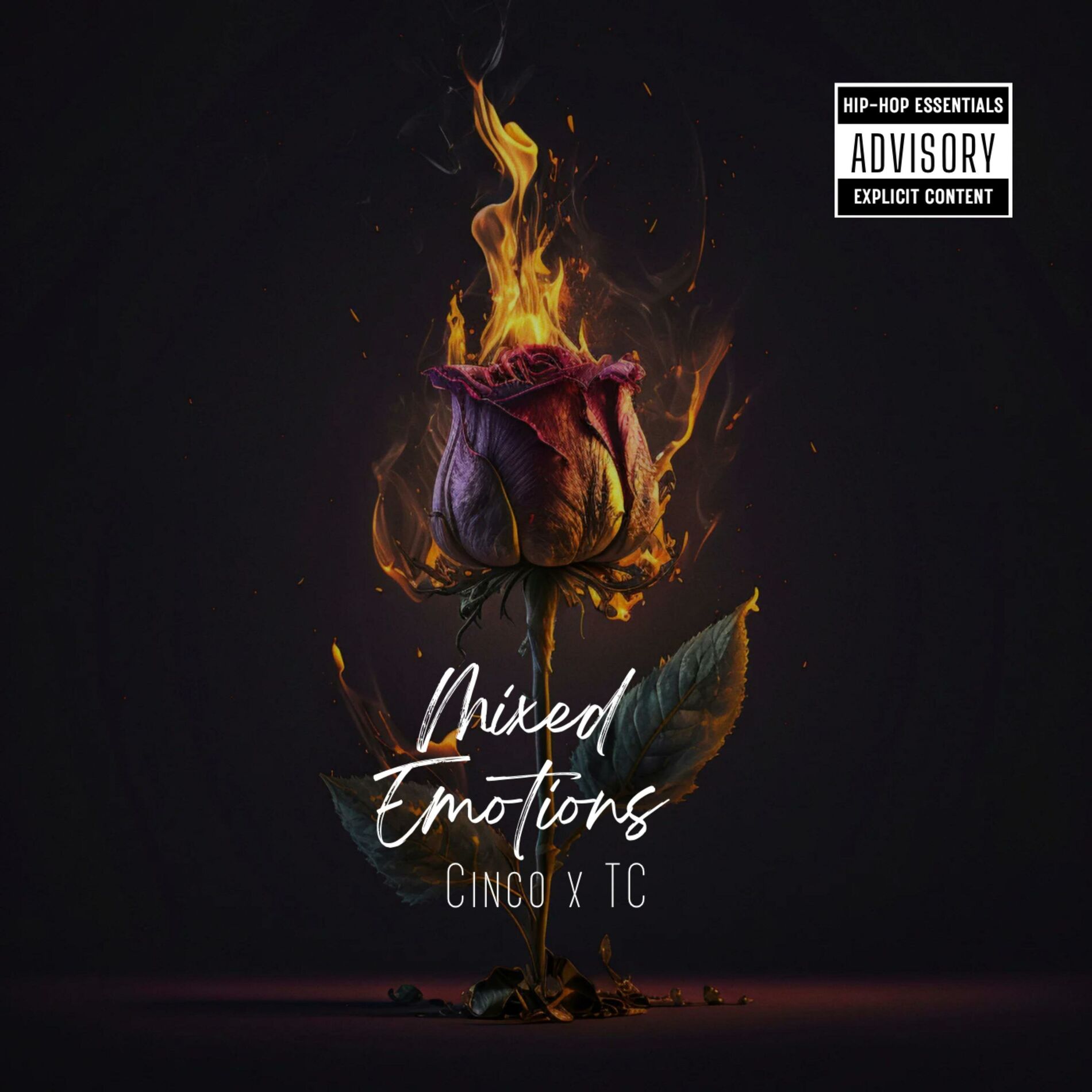 Album cover of Mixed Emotions