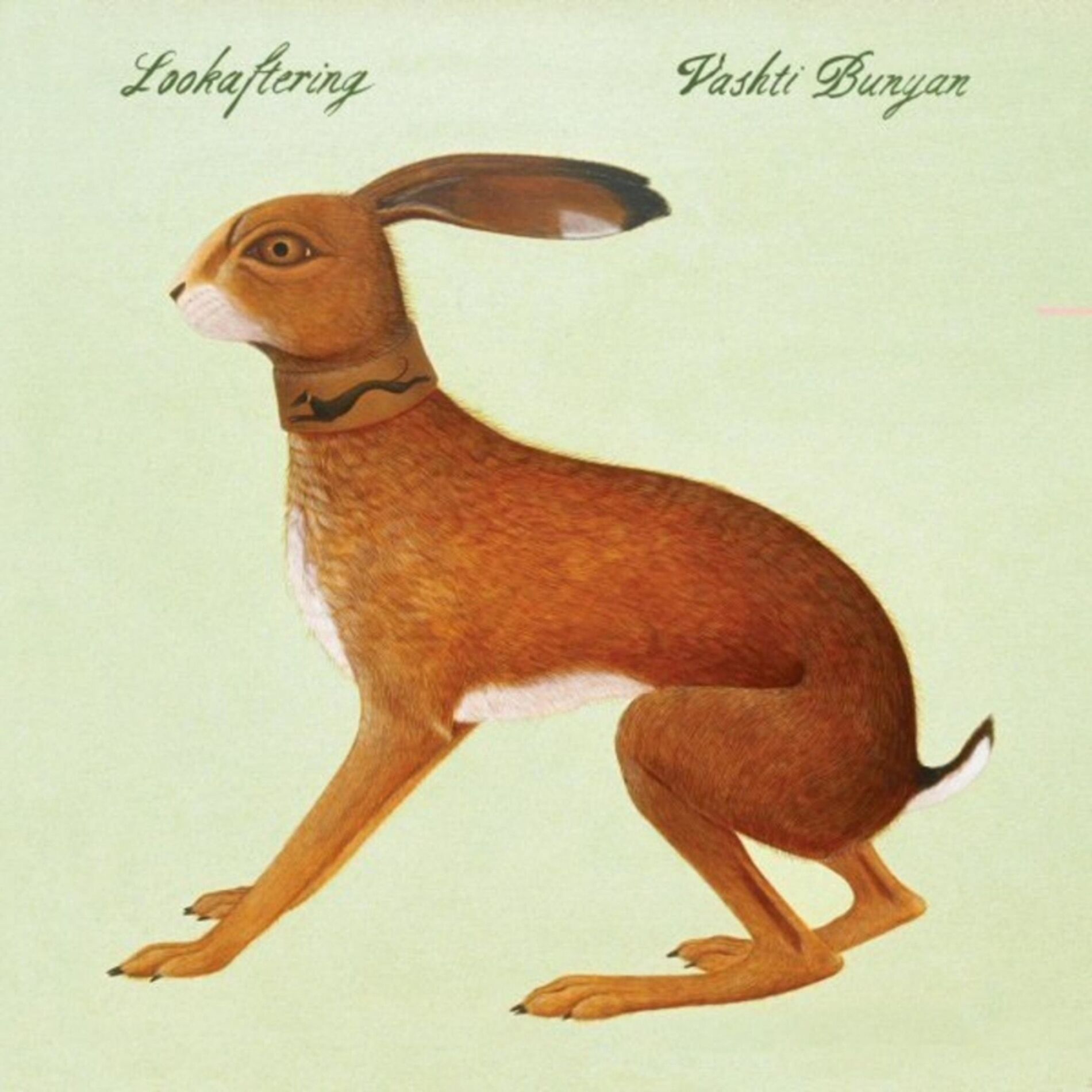 Album cover of Lookaftering