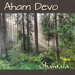 Cover of Aham Devo