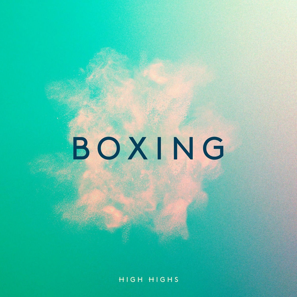 Album cover of Boxing