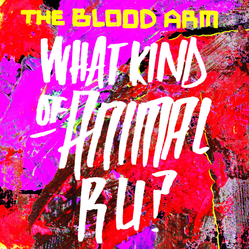Picture of What Kind of Animal R U?