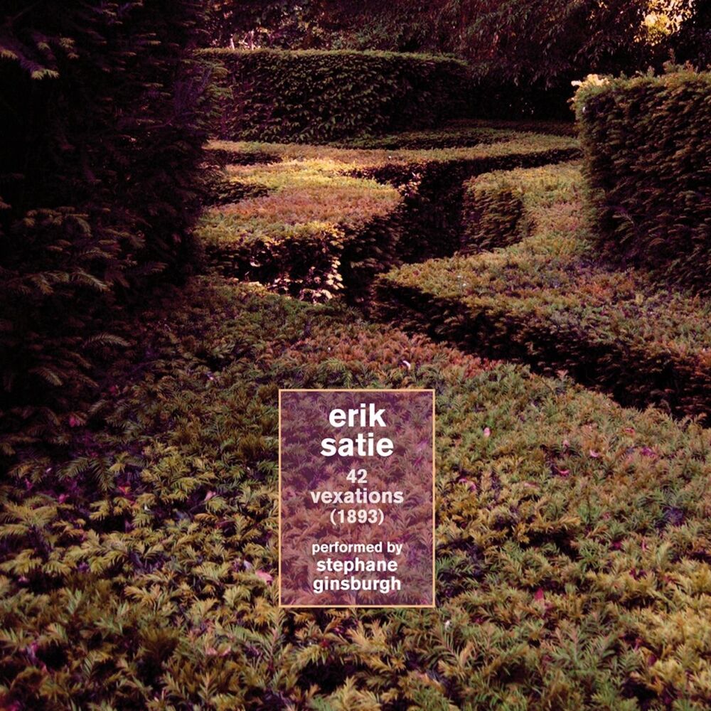 Picture of Erik Satie : 42 vexations