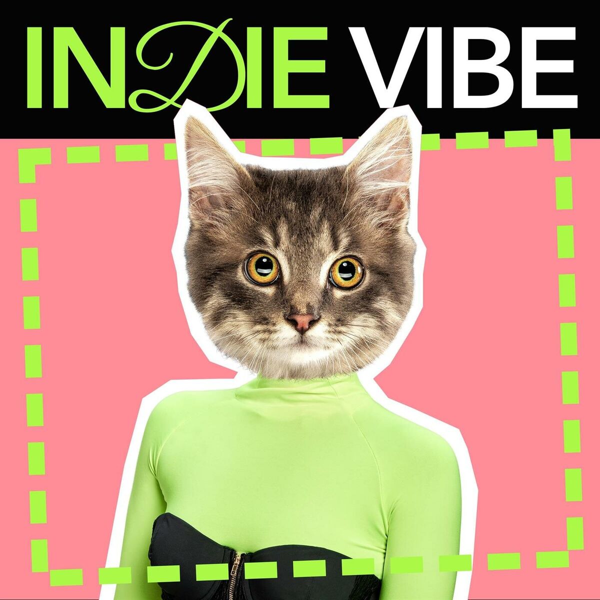 Album cover of Indie Vibe