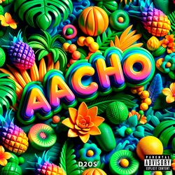 Cover of AACHO