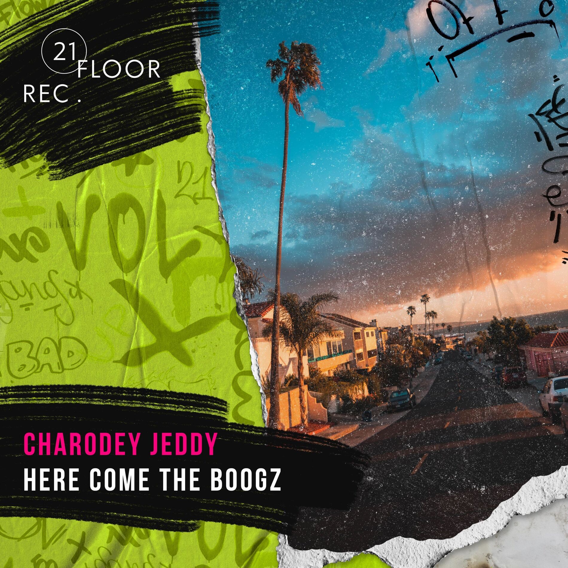 Album cover of Here Come the Boogz