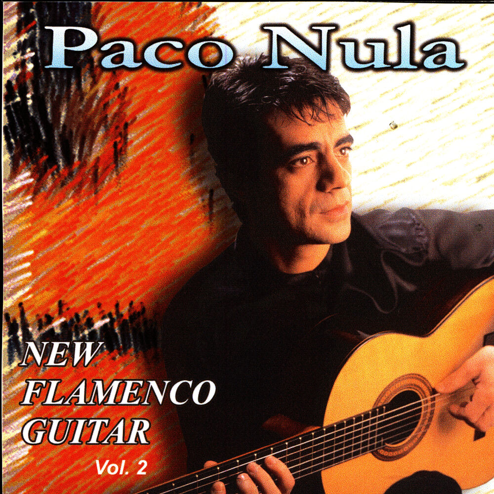 Picture of New Flamenco Guitar 2
