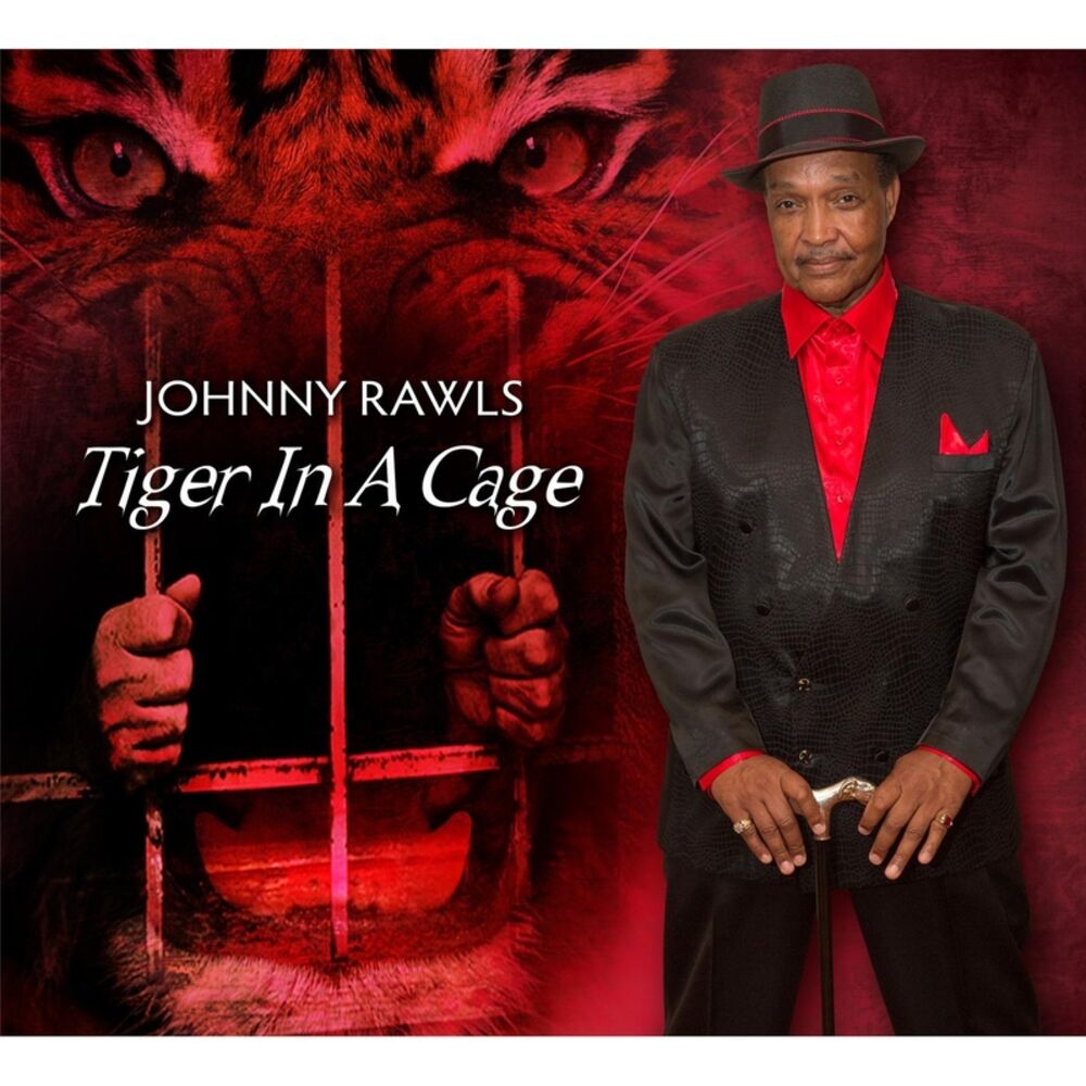 Picture of Tiger in a Cage