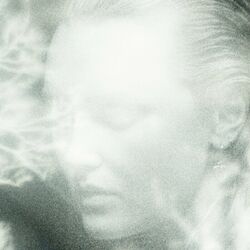 Cover of The Silence That Remains