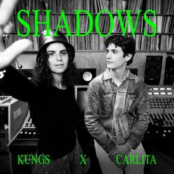 Cover of Shadows