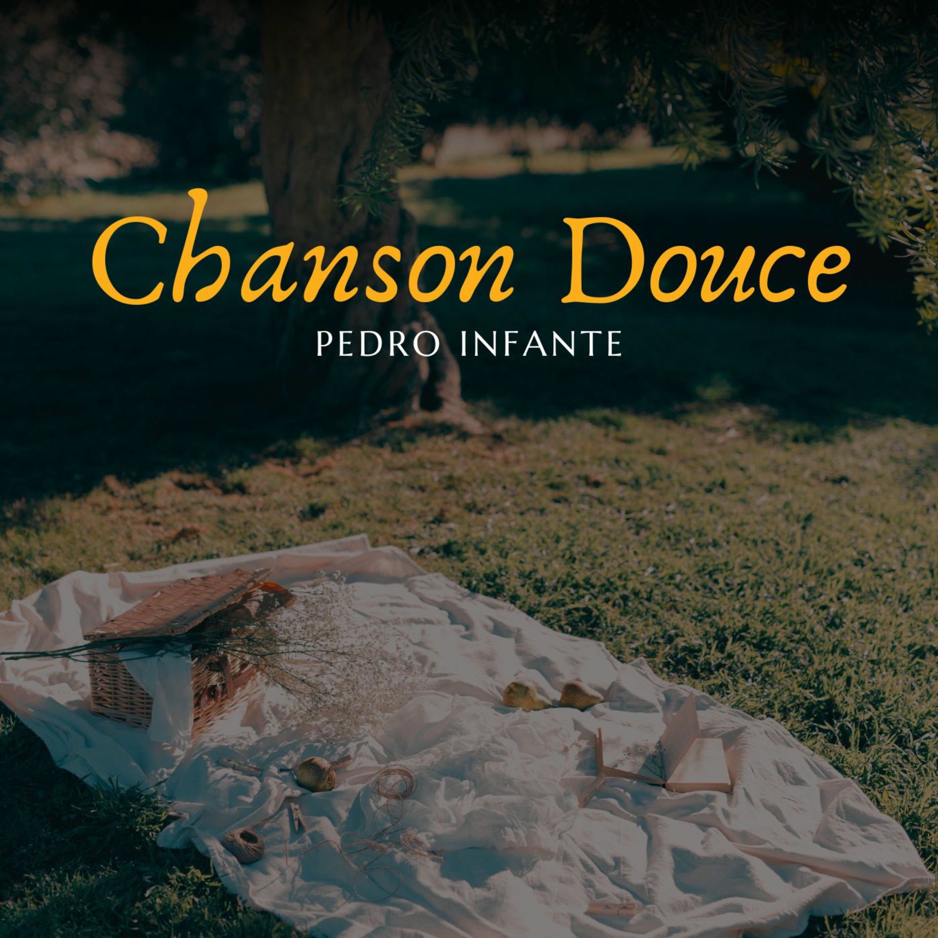 Album cover of Chanson Douce