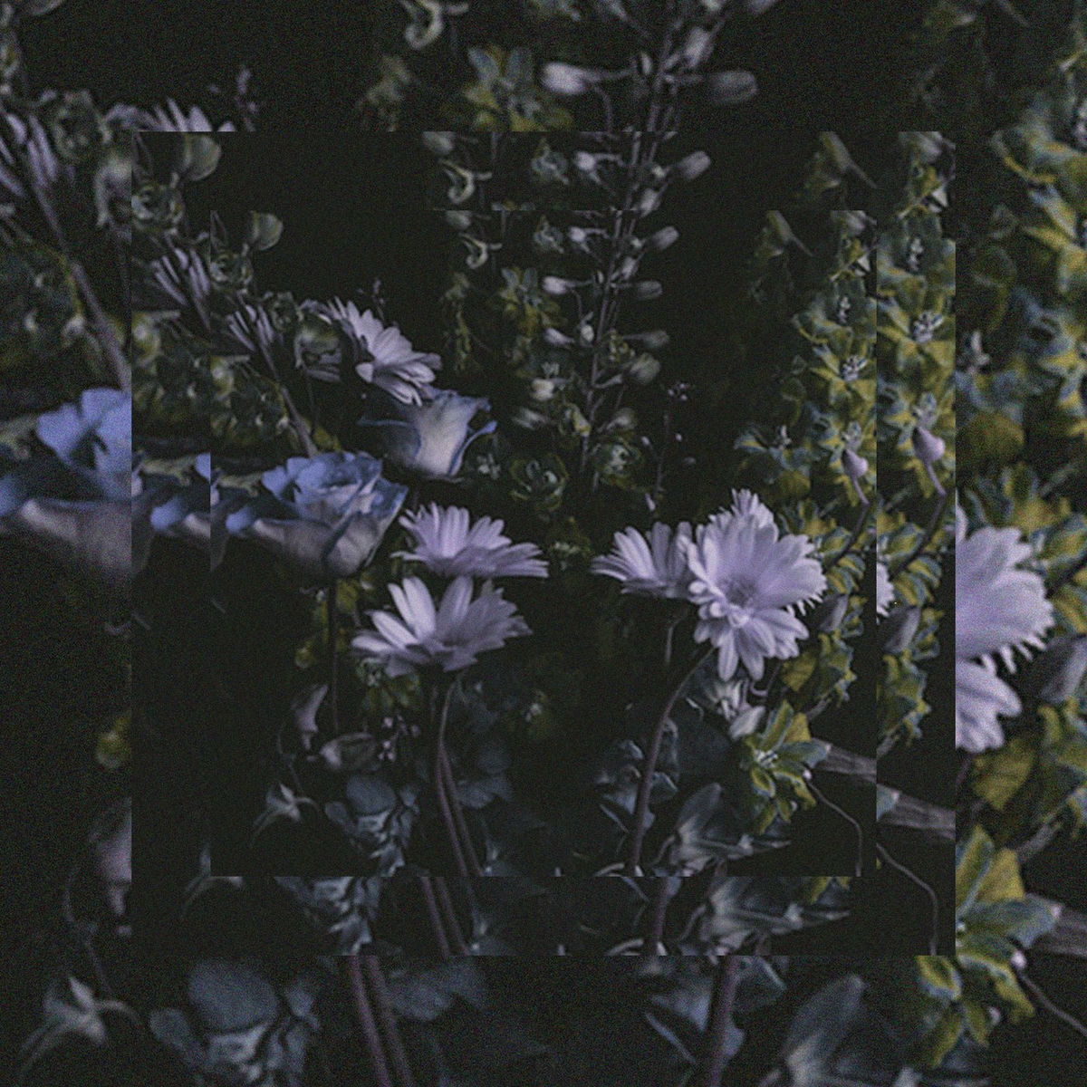 Album cover of It's Beautiful.