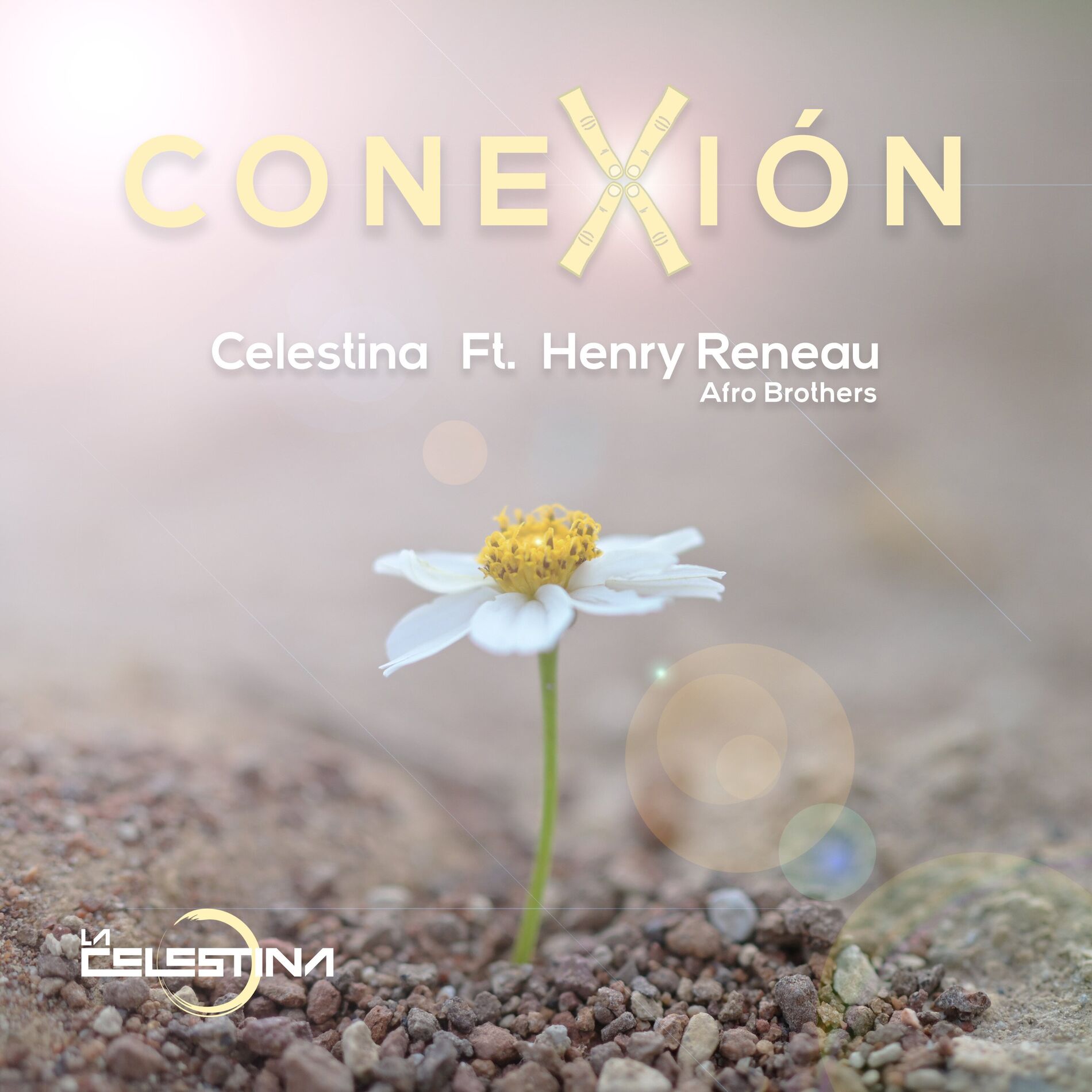 Album cover of Conexión