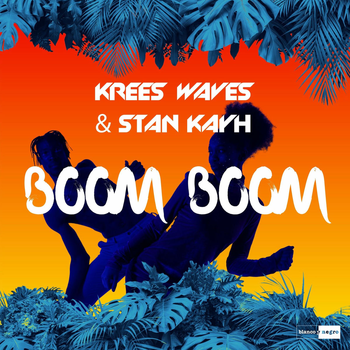 Album cover of Boom Boom