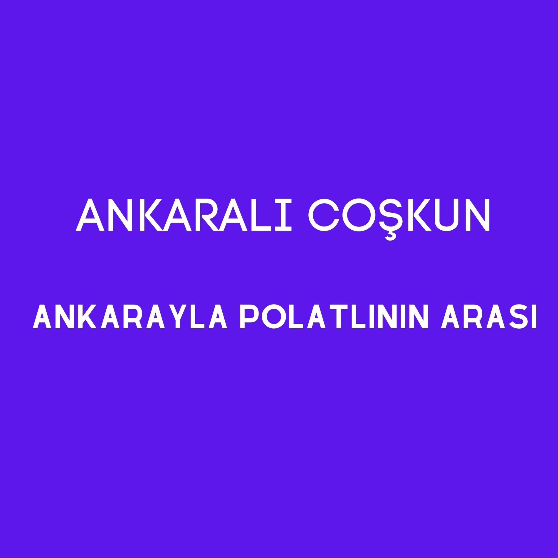 Album cover of Ankarayla Polatlının Arası